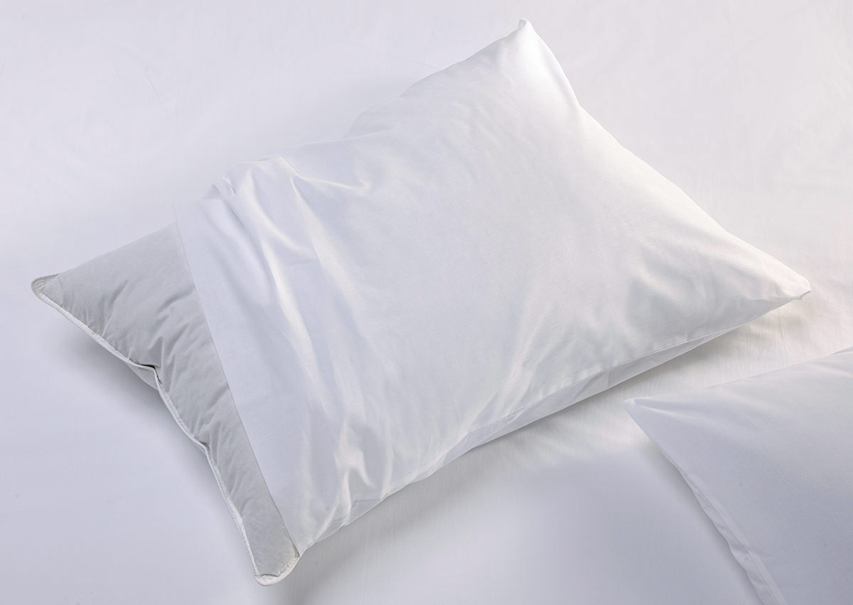 sofitel-boutique-pillow-protector-sof-107-1_lrg
